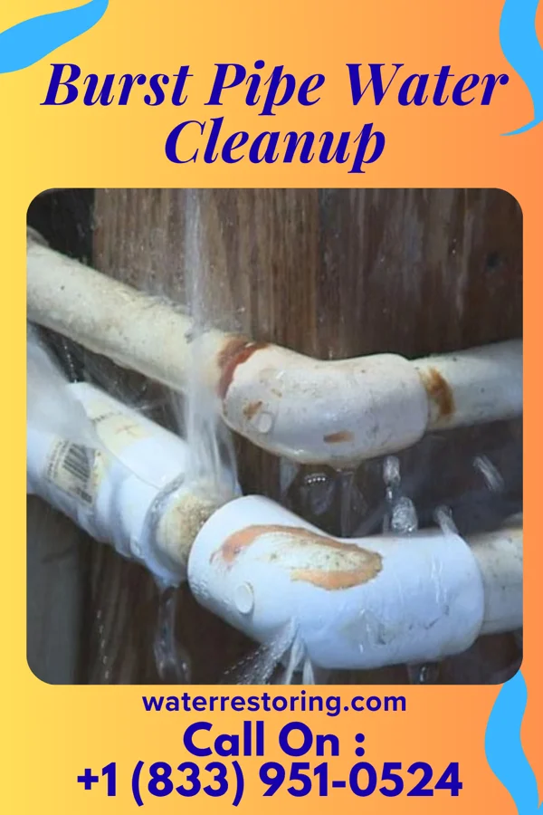 Burst Pipe Water Cleanup in Plymouth, UT