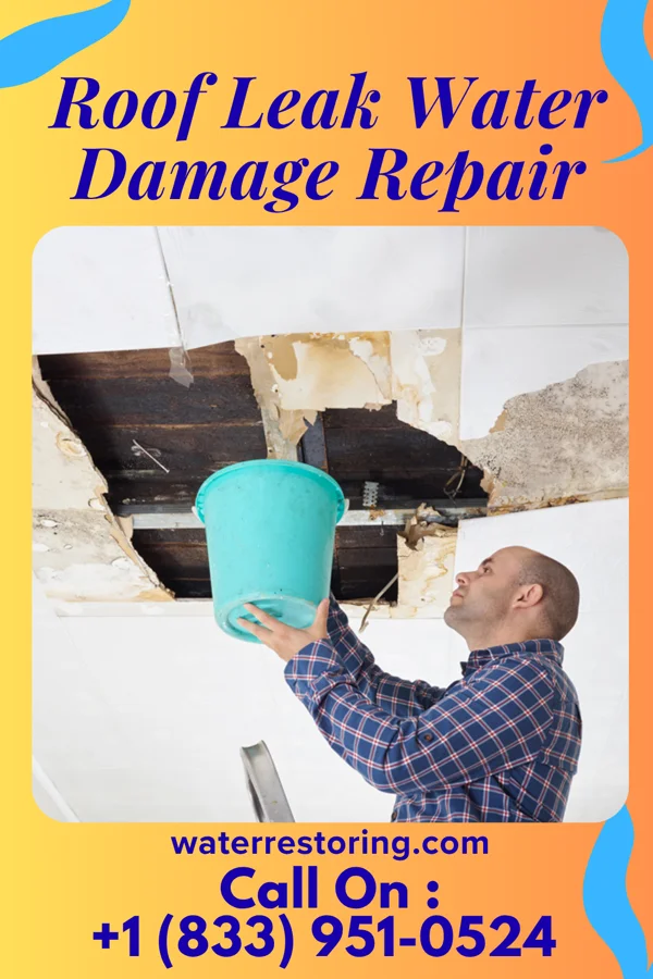 Roof Leak Water Damage Repair in Plymouth, UT