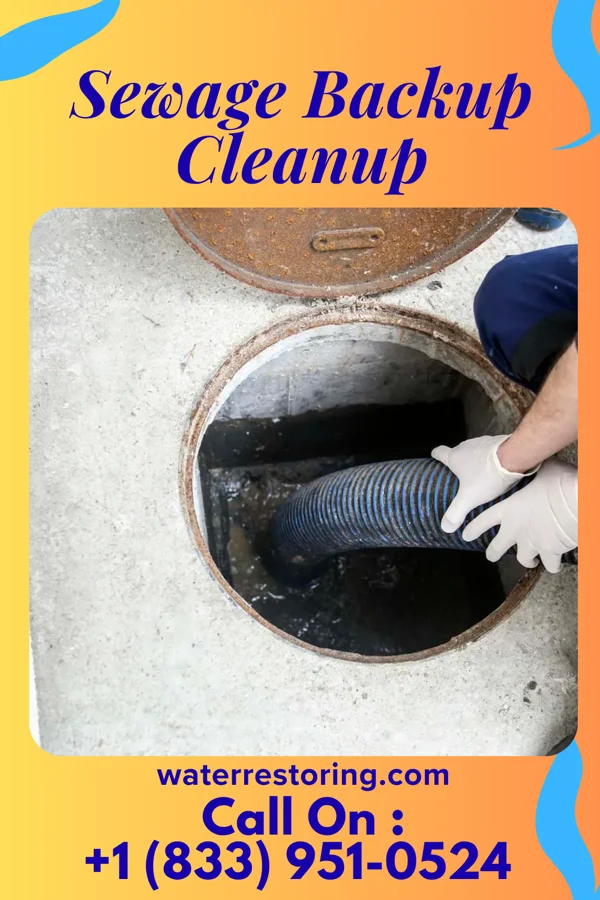 Sewage Backup Cleanup in Plymouth, UT
