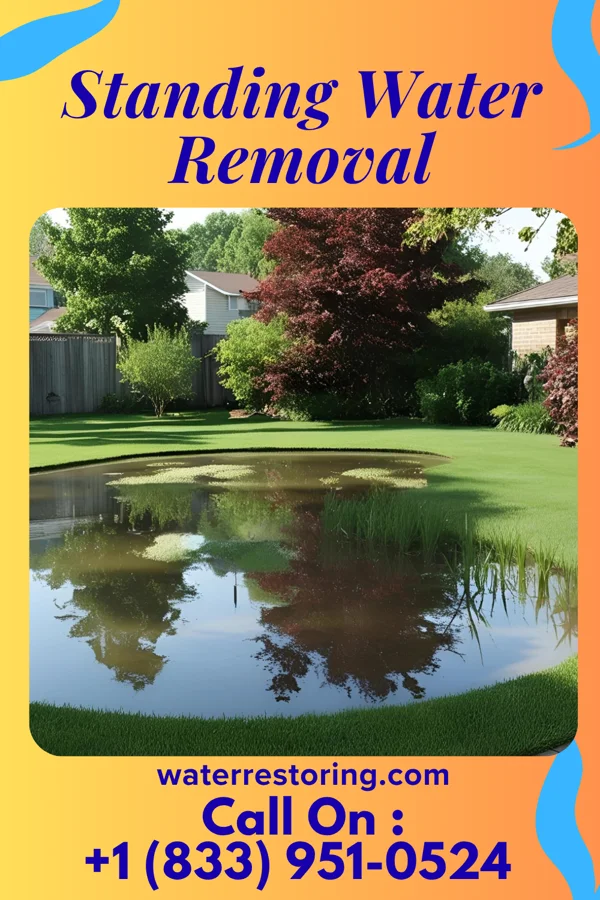 Standing Water Removal in Plymouth, UT